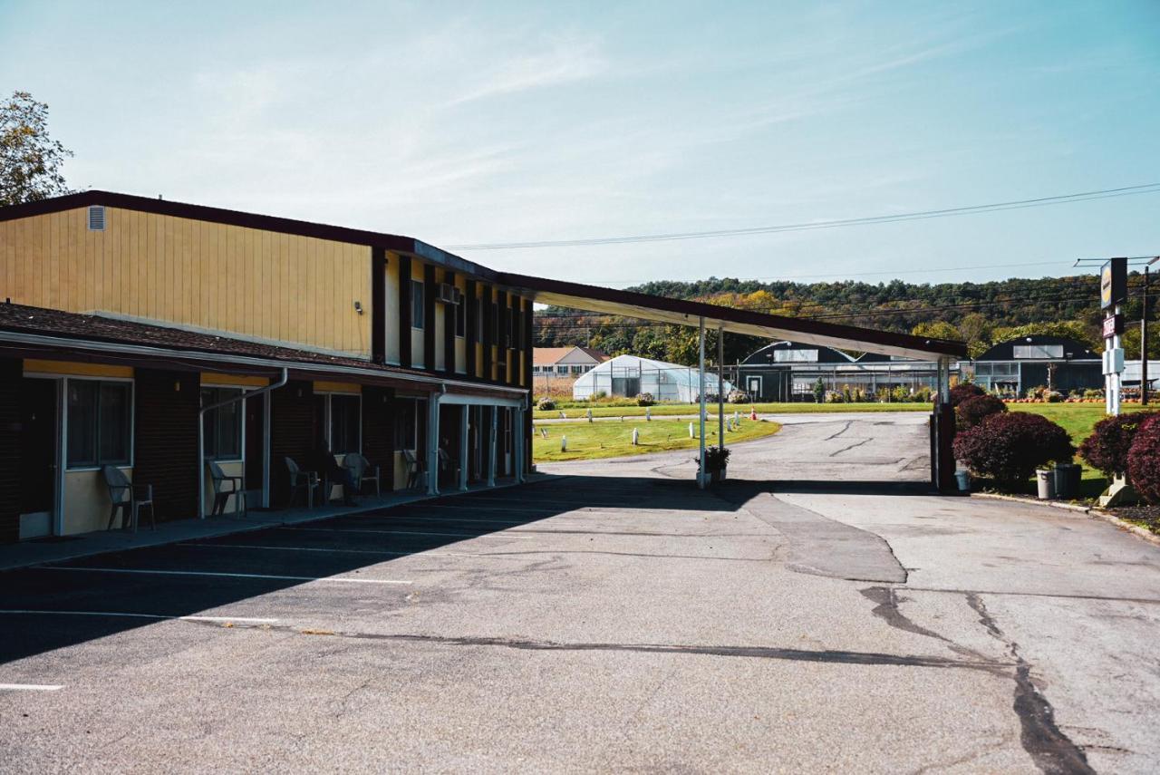 Sussex Motel Wantage Eksteriør billede